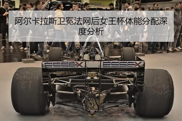 a-er-ka-la-si-wei-mian-fa-wang-hou-nv-wang-bei-ti-neng-fen-pei-shen-du-fen-xi-2-846.jpg